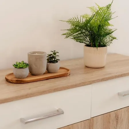Appartement Unirii Downtown 1 *